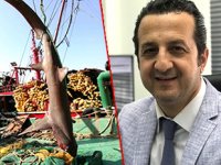 Hatay’da yakalanan köpek balığı nadir görülen tür çıktı