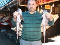 Mersinli balıkçılar, Atlas Okyanusu’nda yaşayan ‘şeytan balığı’ yakaladı