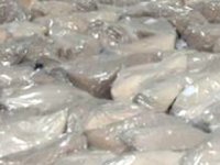 'Pervinoğulları' isimli gemide 5 ton uyuşturucu ele geçirildi