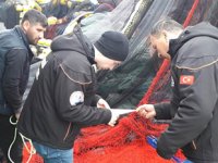 Mavi yüzgeçli orkinos avında kullanılacak ağların ölçümleri başladı