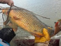 Kaçak avda kullanılan bin metre ağ ele geçirildi