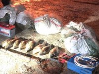 Isparta’da kaçak avcılara para cezası yağdı