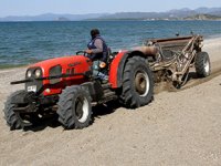 Çalış Plajı, caretta carettalar için temizleniyor