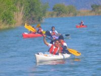 Öğrenciler, caretta carettalar için kürek çekti