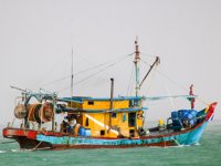 Malezya'da kaçak avlanılan teknede bir ton balık ele geçirildi