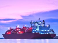 Macaristan, Hırvat yüzer LNG santraline talip oldu