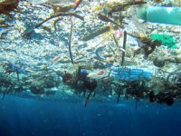 2050 yılında okyanuslarda balıktan çok plastik olacak