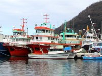 Trabzon’da bin 173 adet balıkçı teknesi var
