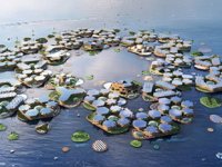 Okyanuslar yükseldikçe yüzebilen şehirler inşa edilecek