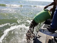 Aydın’da yasadışı ava 29 bin TL ceza kesildi