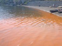 Mudanya’da alg patlamasından dolayı denizin rengi değişti