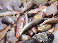 Sinop’ta Ramazan dolayısıyla balık fiyatları düştü