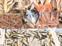 Sinop'ta su ürünleri ihracatından 7,5 milyon dolarlık gelir elde edildi