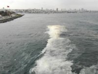 Deniz ve havzaların kirlilik alanları online izleniyor