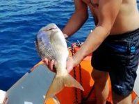 Marmaris’te denizde kaçak av denetimi yapıldı