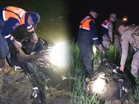 Van Gölü’nde kaçak avlanan 5 ton canlı balık tekrar suya bırakıldı