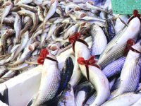 Su ürünleri sektörü 2023 hedefi için Polonya pazarında büyüyecek