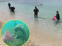 Bodrum'da kıyı ve deniz temizliği yapıldı