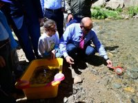 Trabzon’da 14 yılda 16 milyon yavru alabalık orman içi sulara bırakıldı