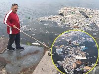 Küçükçekmece Gölü’ndeki balık ölümleri korkurttu