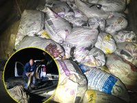 Van’da 10,5 ton kaçak avlanmış balık ele geçirildi