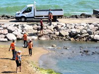 Sinop sahillerinde yosun temizliği yapıldı