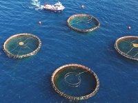 'Mavi Dünya' için mavi ekonomiye 5 milyar dolar yatırım yapıldı