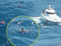 Denizde sürüklenen dalgıç, feribottan atılan can simidiyle kurtarıldı