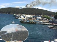 Heybeliada'da çıkan orman yangını kontrol altına alındı