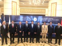 Doğu Akdeniz Gaz Forumu Kahire'de düzenlendi