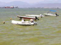 Fethiye Körfezi'nde denizin renginin neden değiştiği ortaya çıktı