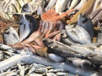 Türkiye, su ürünlerinde 2 milyar dolarlık ihracat hedefliyor