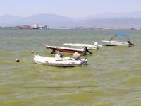 Fethiye Körfezi’ndeki kirliliğin nedenini bilimsel rapor ortaya çıkardı