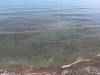 Ordu'da tespit edilen denizdeki kalıntılar araştırılacak