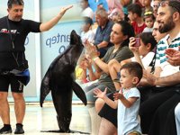Fok gösterilerini 1 milyon 375 bin kişi izledi