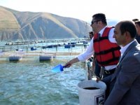 Erzurum'da gölet ve havuzlar balık bolluğu yaşanıyor