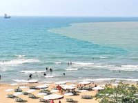 Denize ulaşan çamurlu su limanı ve sahili sarıya boyadı