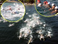 Karamürsel'de Açık Su Yüzme Şampiyonası nefes kesti