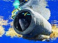 Plastik kirliliği, Sargasso Denizi’ni tehdit ediyor