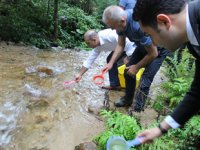 İkizdere'de 4 bin alabalık yavrusu suyla buluştu