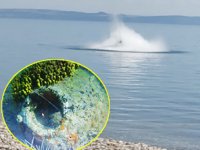 SAS Timleri, İngiliz harp mayınını denizin ortasında imha etti