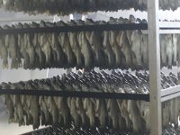 Denizli’den 80 ülkeye yıllık 6 bin ton tütsülenmiş balık ihracatı gerçekleştiriliyor