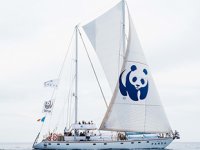 ‘Blue Panda’ isimli tekne, Türkiye'ye geldi