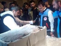 Boy denetimine takılan 2 ton balığa el konuldu