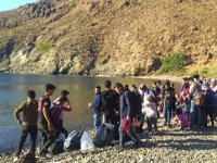 Muğla'da 48 düzensiz göçmen yakalandı