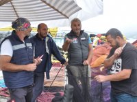 Japonya’dan ithal edilen sonar makineleri balıkları yok ediyor