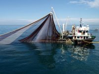 Av yasağı sona erdi, denetimler arttı