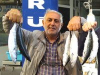 Karadenizli balıkçılar palamut avında umduklarını bulamıyor