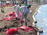 Deniz kirliliğine sebep olan firmaya 144 bin lira para cezası kesildi