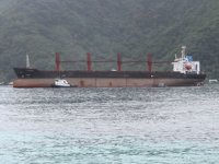 ABD, el koyduğu ‘Wise Inest’ isimli Kuzey Kore kargo gemisini sattı